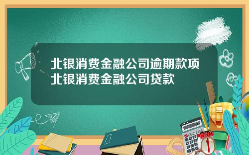 北银消费金融公司逾期款项北银消费金融公司贷款