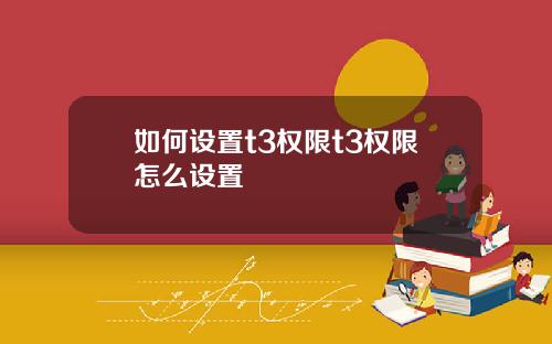 如何设置t3权限t3权限怎么设置