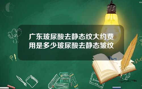 广东玻尿酸去静态纹大约费用是多少玻尿酸去静态皱纹