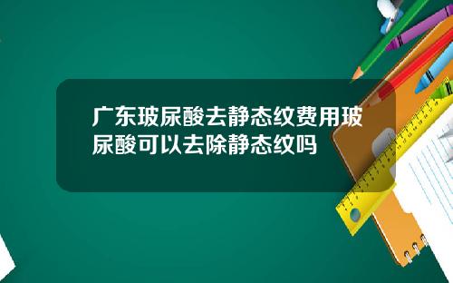 广东玻尿酸去静态纹费用玻尿酸可以去除静态纹吗