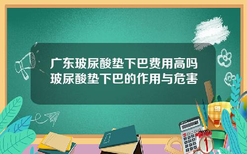 广东玻尿酸垫下巴费用高吗玻尿酸垫下巴的作用与危害