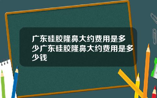 广东硅胶隆鼻大约费用是多少广东硅胶隆鼻大约费用是多少钱