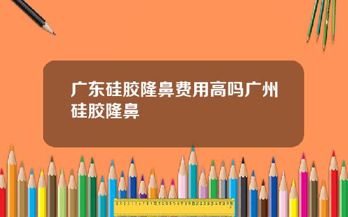广东硅胶隆鼻费用高吗广州硅胶隆鼻