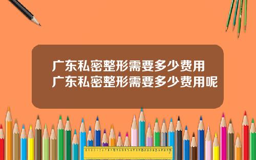 广东私密整形需要多少费用广东私密整形需要多少费用呢