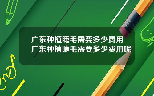 广东种植睫毛需要多少费用广东种植睫毛需要多少费用呢