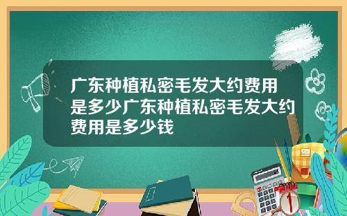 广东种植私密毛发大约费用是多少广东种植私密毛发大约费用是多少钱