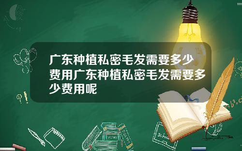 广东种植私密毛发需要多少费用广东种植私密毛发需要多少费用呢