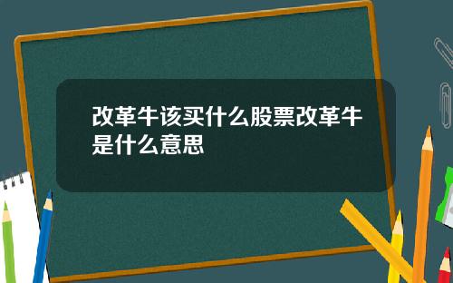 改革牛该买什么股票改革牛是什么意思