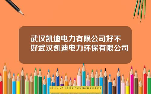 武汉凯迪电力有限公司好不好武汉凯迪电力环保有限公司