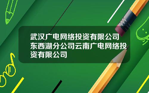 武汉广电网络投资有限公司东西湖分公司云南广电网络投资有限公司