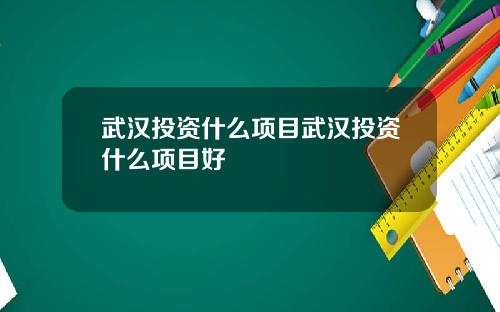 武汉投资什么项目武汉投资什么项目好
