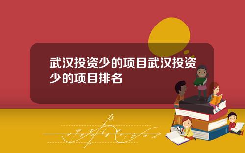 武汉投资少的项目武汉投资少的项目排名
