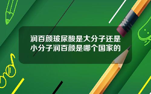 润百颜玻尿酸是大分子还是小分子润百颜是哪个国家的