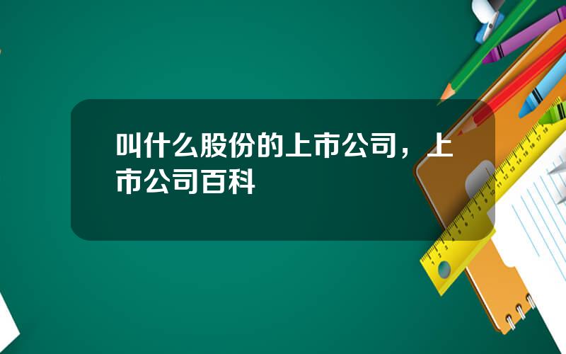 叫什么股份的上市公司，上市公司百科