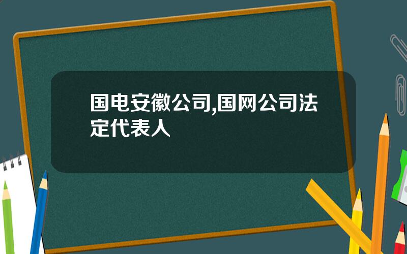 国电安徽公司,国网公司法定代表人