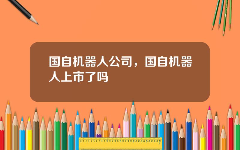 国自机器人公司，国自机器人上市了吗