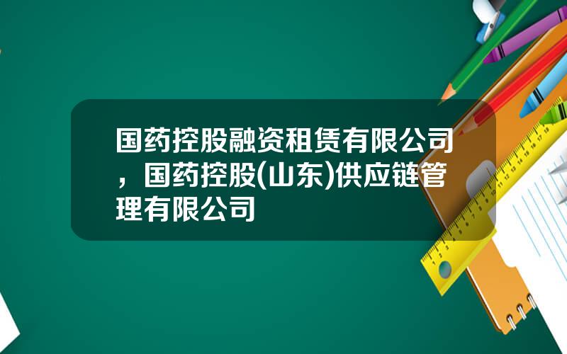 国药控股融资租赁有限公司，国药控股(山东)供应链管理有限公司
