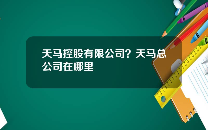 天马控股有限公司？天马总公司在哪里