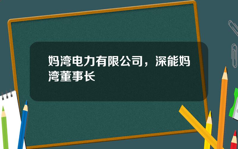 妈湾电力有限公司，深能妈湾董事长