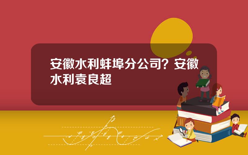安徽水利蚌埠分公司？安徽水利袁良超
