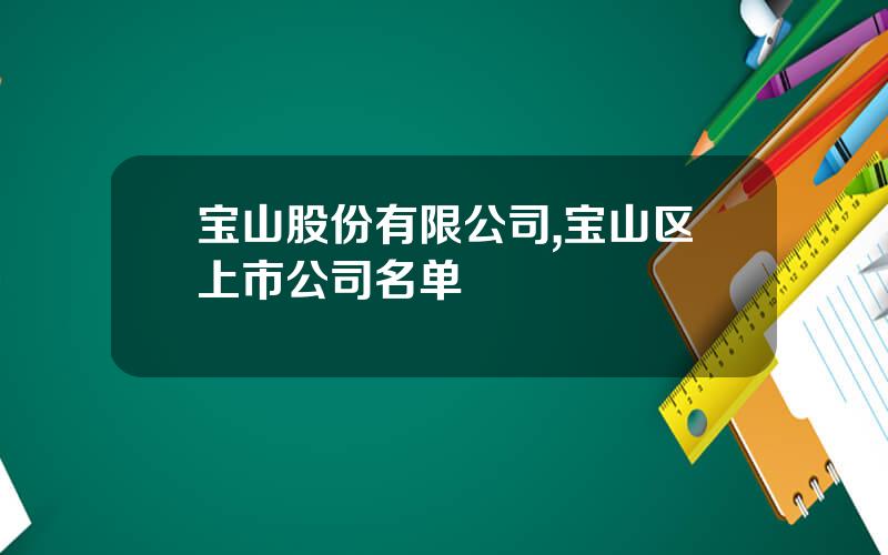 宝山股份有限公司,宝山区上市公司名单