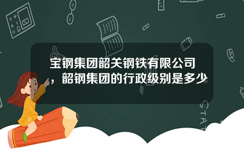 宝钢集团韶关钢铁有限公司，韶钢集团的行政级别是多少