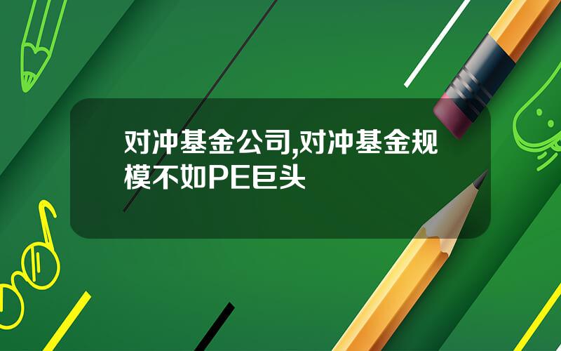 对冲基金公司,对冲基金规模不如PE巨头