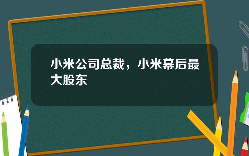 小米公司总裁，小米幕后最大股东