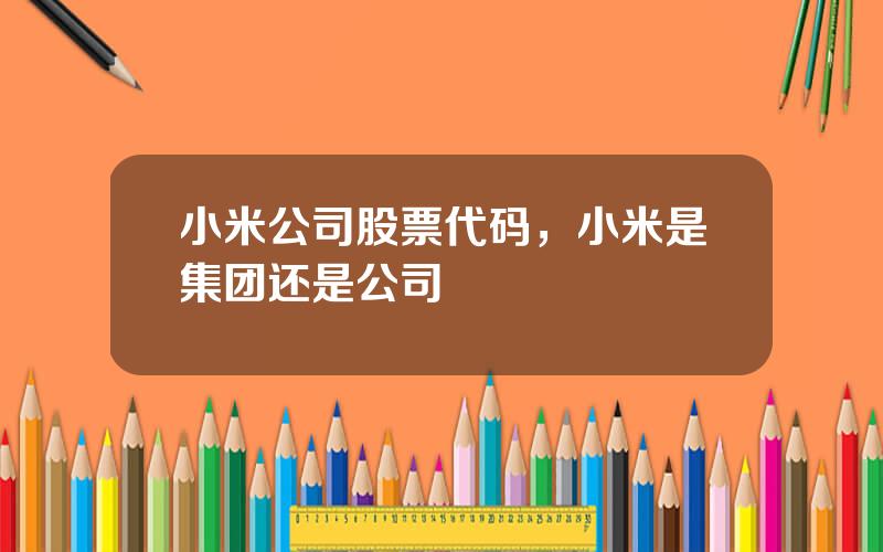 小米公司股票代码，小米是集团还是公司