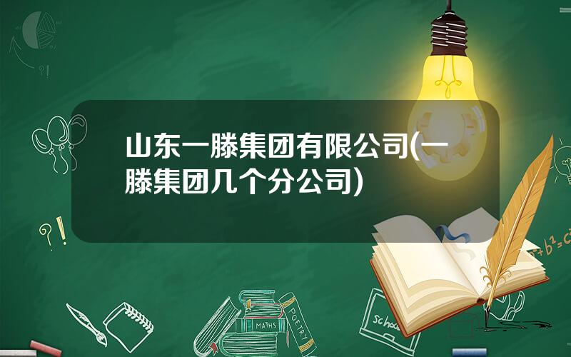 山东一滕集团有限公司(一滕集团几个分公司)