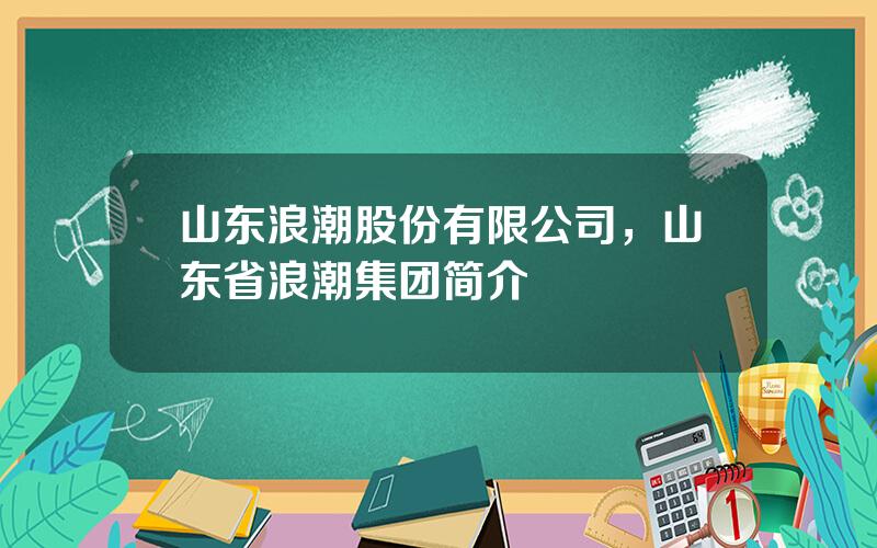 山东浪潮股份有限公司，山东省浪潮集团简介