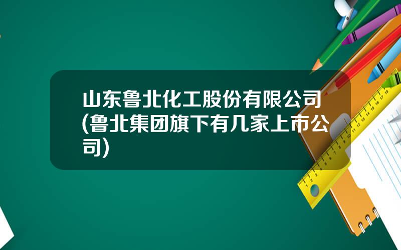山东鲁北化工股份有限公司(鲁北集团旗下有几家上市公司)