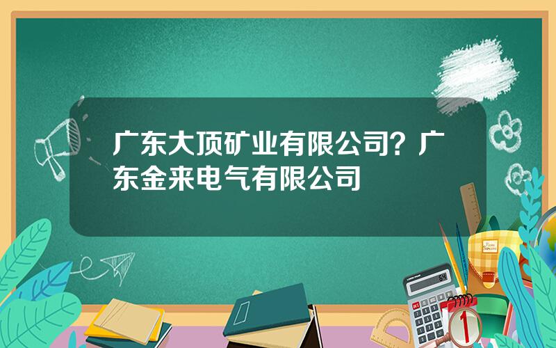 广东大顶矿业有限公司？广东金来电气有限公司