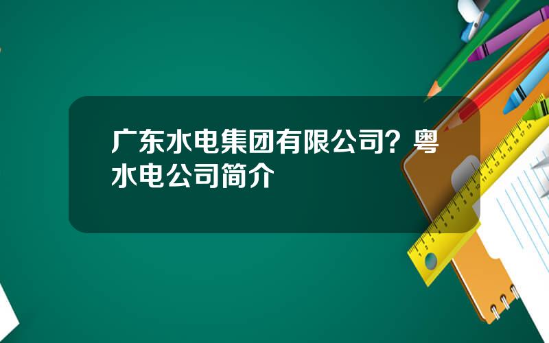 广东水电集团有限公司？粤水电公司简介