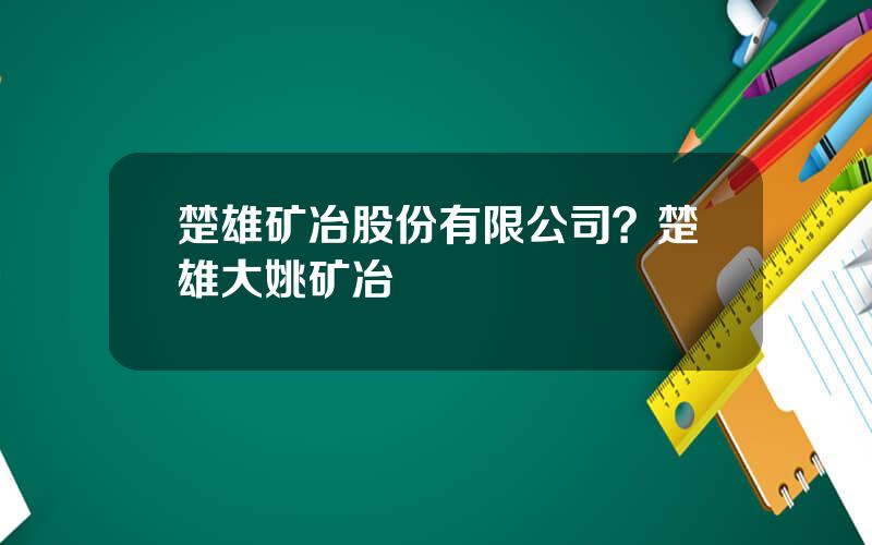 楚雄矿冶股份有限公司？楚雄大姚矿冶