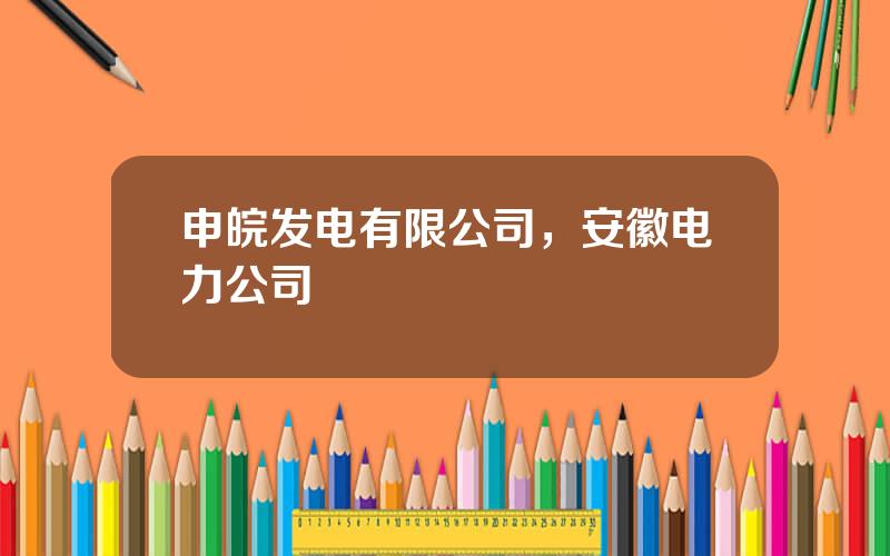 申皖发电有限公司，安徽电力公司