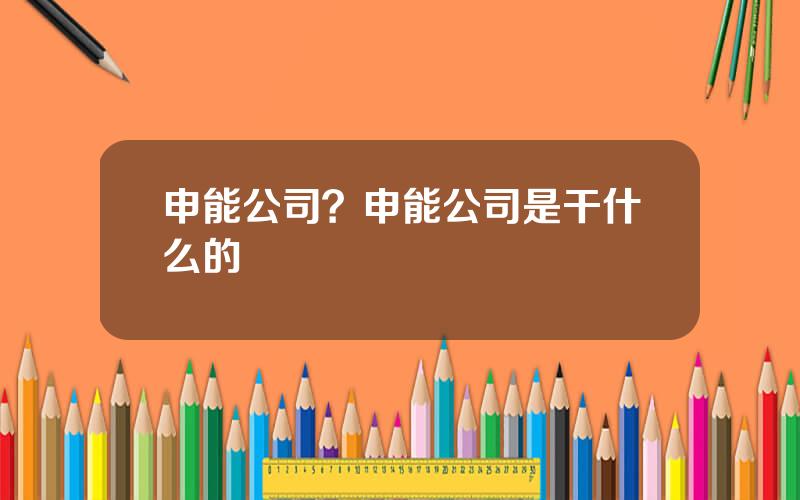 申能公司？申能公司是干什么的