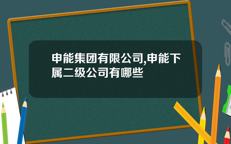 申能集团有限公司,申能下属二级公司有哪些